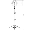 Lampa podłogowa LED Sanico Goldlux, do selfie, 36 cm, USB