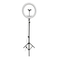 Lampa podłogowa LED Sanico Goldlux, do selfie, 36 cm, USB
