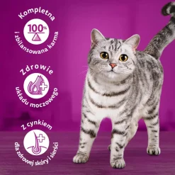 Mokra karma Whiskas, dla dorosłych kotów, z tuńczykiem, 24 x 400 g