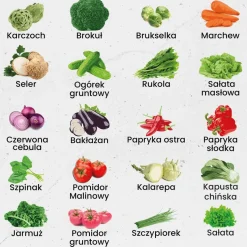 Nasiona warzyw ogrodowych Green Harvest Eksplozja Smaków, 20 saszetek
