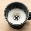 Spieniacz do mleka Hulsog, 500 W, 0,3 l, czarny